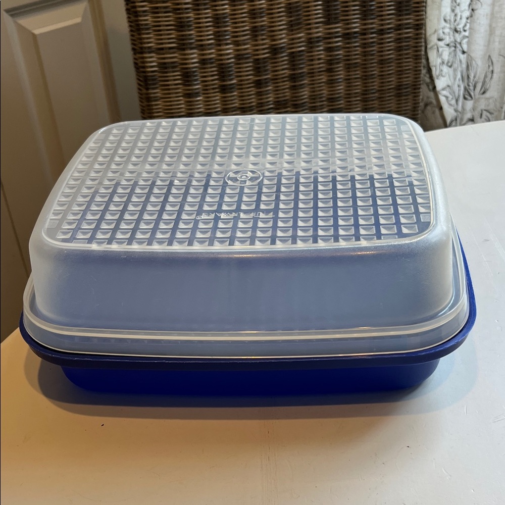 Vintage Tupperware Season and Serve